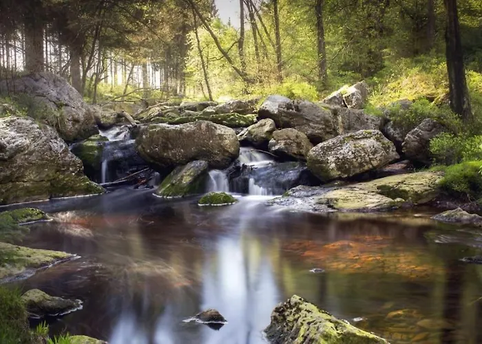 Appartement à 10min Du Circuit De Spa-francorchamps
